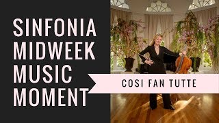 Mozart Cosi fan tutte overture  SINFONIA MIDWEEK MUSIC MOMENT [upl. by Drake]