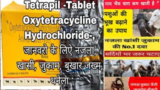 Oxytetracycline Hydrochloride Tablets Tetrapil tablets for Animal Use जानवरो मे उपयोग ली जाने वाली [upl. by Oloapnaig559]