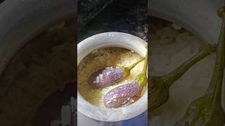 Bengali bagun varta shorts video  cooking  varta racipe  trending  viral video [upl. by Gide383]