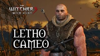 The Witcher 3 Wild Hunt  All Witcher Gear Sets Showcase Looks amp Stats [upl. by August]