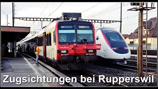 Viele Züge beim Bahnhof Rupperswil [upl. by Temple859]