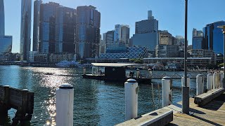 Ferry Pyrmont Bay to Circular Quay Irl live Violets Inspiration Soup Sydney Australia Harbour Bridge [upl. by Alverta]