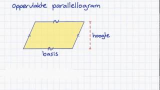 oppervlakte parallellogram [upl. by Nico]