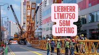 LIEBHERR LTM1750  91 with 56m Luffing Jib Setup  Part Two [upl. by Harv]