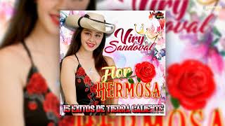 Viry Sandoval  Flor Hermosa Disco Completo [upl. by Marcel]