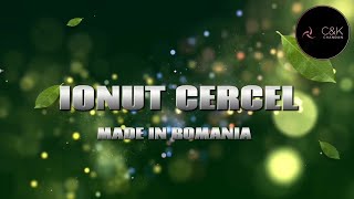 Ionut cercel  Made In Romania English Lyrics Song [upl. by Aicetal595]