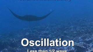 Undulation vs Oscillation [upl. by Ayr737]