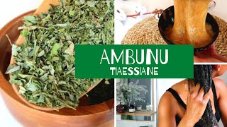 Je teste lherbe AMBUNU  Lave démêle anti pellicules gel 2 RECETTES Cheveux afro [upl. by Otcefrep]