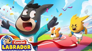 🔍Sheriff Labrador  Día de Deportes Divertidos 🏅 Videos para Niños  BabyBus en Español [upl. by Alysa]