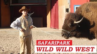 WesternShow im Safaripark Zoo Stukenbrock [upl. by Terena]