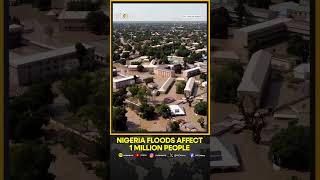 Nigeria Floods affect 1 million people  WION Shorts [upl. by Chee]