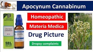 Apocynum Cannabinum Homeopathic Medicine  Drug Picture  Materia Medica bhms [upl. by Leif]