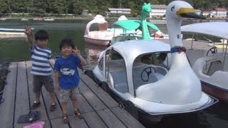 スワンボートに乗った Swan boat [upl. by Kloman671]