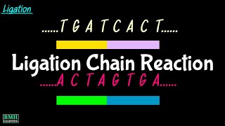 Ligation Chain Reaction  LCR Amplification [upl. by Aneloc816]