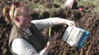 Soil Profiling Color [upl. by Zeta]