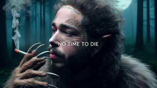 Post Malone amp Morgan Wallen  No Time To Die 2024 [upl. by Ennirroc340]