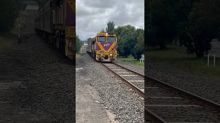 TRAINS AM22 Victorian Passenger Train Colac Victoria 8863 N Class Locomotive N464 10124 Horn Show [upl. by Lundeen]