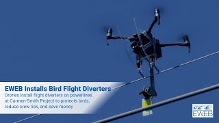 Bird Flight Diverters at CarmenSmith Transmission Lines [upl. by Onifur]