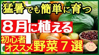 ８月に植える！初心者でも手軽にプランターで栽培できるオススメ野菜７選【植え付けカレンダー】 [upl. by Ingamar]