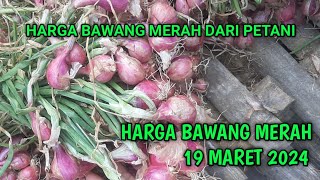 harga bawang merah hari ini 19 Maret 2024 [upl. by Thecla]