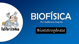 BIOELETROGÊNESE Equação de Nernst  BIOFÍSICA [upl. by Gilpin]