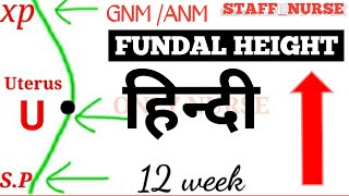 Fundal Height measurement by week  Nursing maternity [upl. by Egdamlat459]