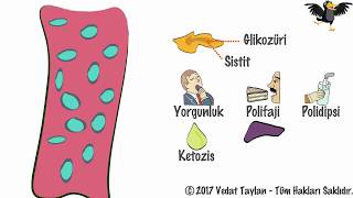 Diabetes Mellitus  Glikoz ve İnsülin Şeker Hastalığı Diabet [upl. by Eyla]