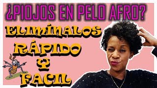 CÓMO QUITAR PIOJOS RÁPIDO  Del PELO AFRO  CÓMO QUITAR LAS LIENDRES ✨ Ely Rizos ✨ [upl. by Emaj]