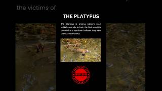 Do you know about Platypus [upl. by Hasty613]