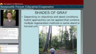 Silviculture 101 Systems and Terminology [upl. by Eissirhc]