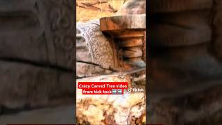 mysterious Ancient Crazy carved oak Tree history who carved it and when [upl. by Onifled]