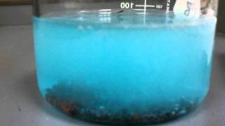 Reaction between copper sulfate and zinc [upl. by Ysak]