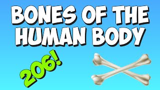 Learn the bones of the human body with the Bones Song [upl. by Aniral]