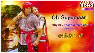 Anniyan  Shankar Movie  O Sukumari Song  Anniyan songs  Vikram songs  Harris Jayaraj hits [upl. by Moersch]