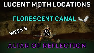 Destiny 2 Lucent Moth Locations Florescent Canal and Altar of Reflection [upl. by Anilorac131]