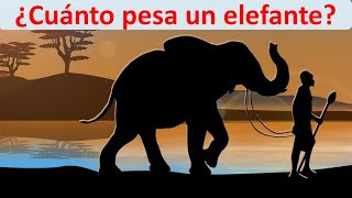 Cuánto pesa un elefante [upl. by Meri]