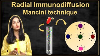 Radial Immunodiffusion I Mancini technique I Immunotechnique II Immunology [upl. by Ymmot]