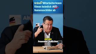 🚨grüne spionieren afd aus🕵🏻 short [upl. by Lebezej]