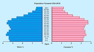 How to make a Population Pyramid [upl. by Erma975]