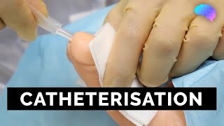 Catheterisation  OSCE Guide  UKMLA  CPSA [upl. by Delahk69]