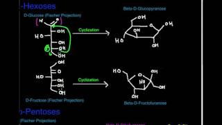 Carbohydrate Structure Aldohexoses and Ketohexoses [upl. by Elyagiba]