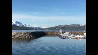 Olderhamna småbåthavn på Finnsnes i Lenvik kommune [upl. by Atul985]