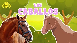 Curiosidades de CABALLOS🐴 Características Fascinantes de LOS CABALLOSVídeos caballos para niños [upl. by Rosane]