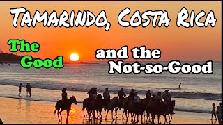 Tamarindo Costa Rica  The Good and the NotsoGood [upl. by Naghem339]