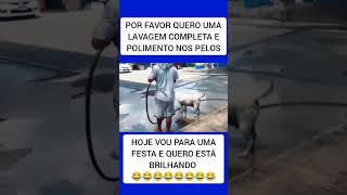 POR FAVOR QUERO UMA LAVAGEM COMPLETA 😂😂😂😂 [upl. by Dell]