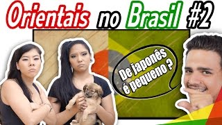 ORIENTAIS NO BRASIL 2  Blog das irmãs [upl. by Torr]