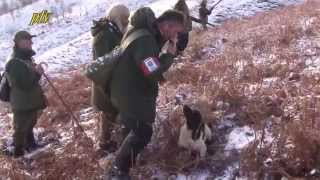 Rheastmooar Fizzy winner of the 2015 English Springer Spaniel Championship [upl. by Boehike]