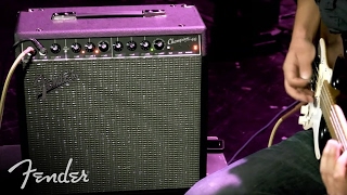 Fender Champion™ 20 40 and 100 Amps  Fender [upl. by Eenat]