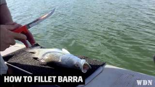 How to fillet Barramundi in 60 seconds [upl. by Otanutrof]