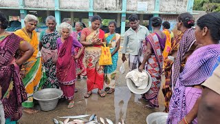 இதுவரை யாருமே காட்டாத படகிலிருந்து நேரடி மீன் ஏலம் எவ்வளவு வித்துச்சிDIRECT FISH AUCTION IN MARKET [upl. by Arluene]